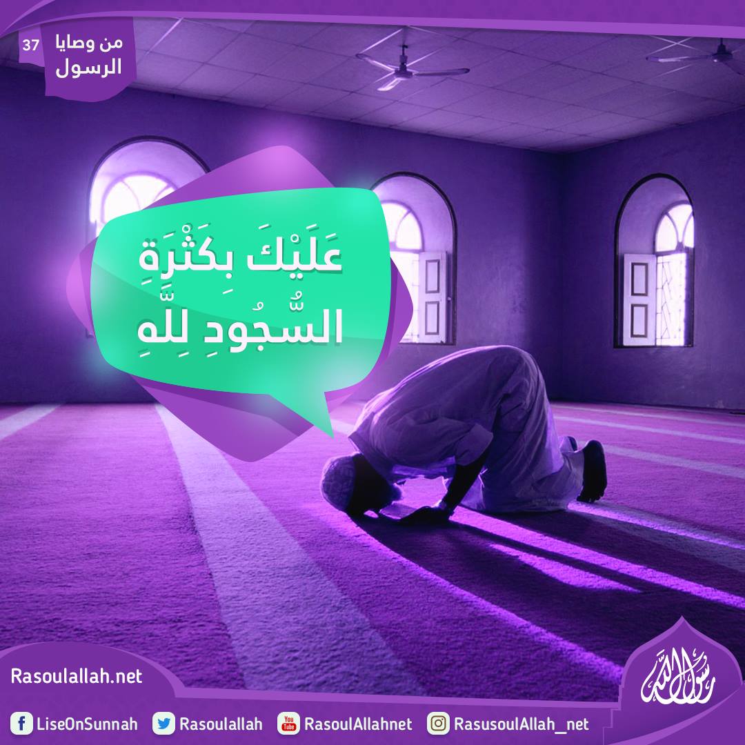 عَلَيْكَ بِكَثْرَةِ السُّجُودِ لِلَّهِ