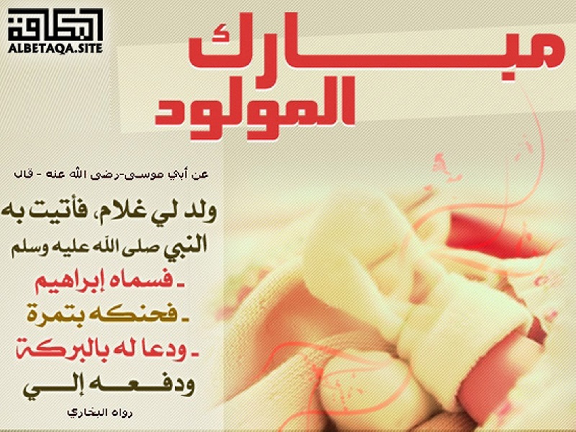 ﻿مبارك المولود