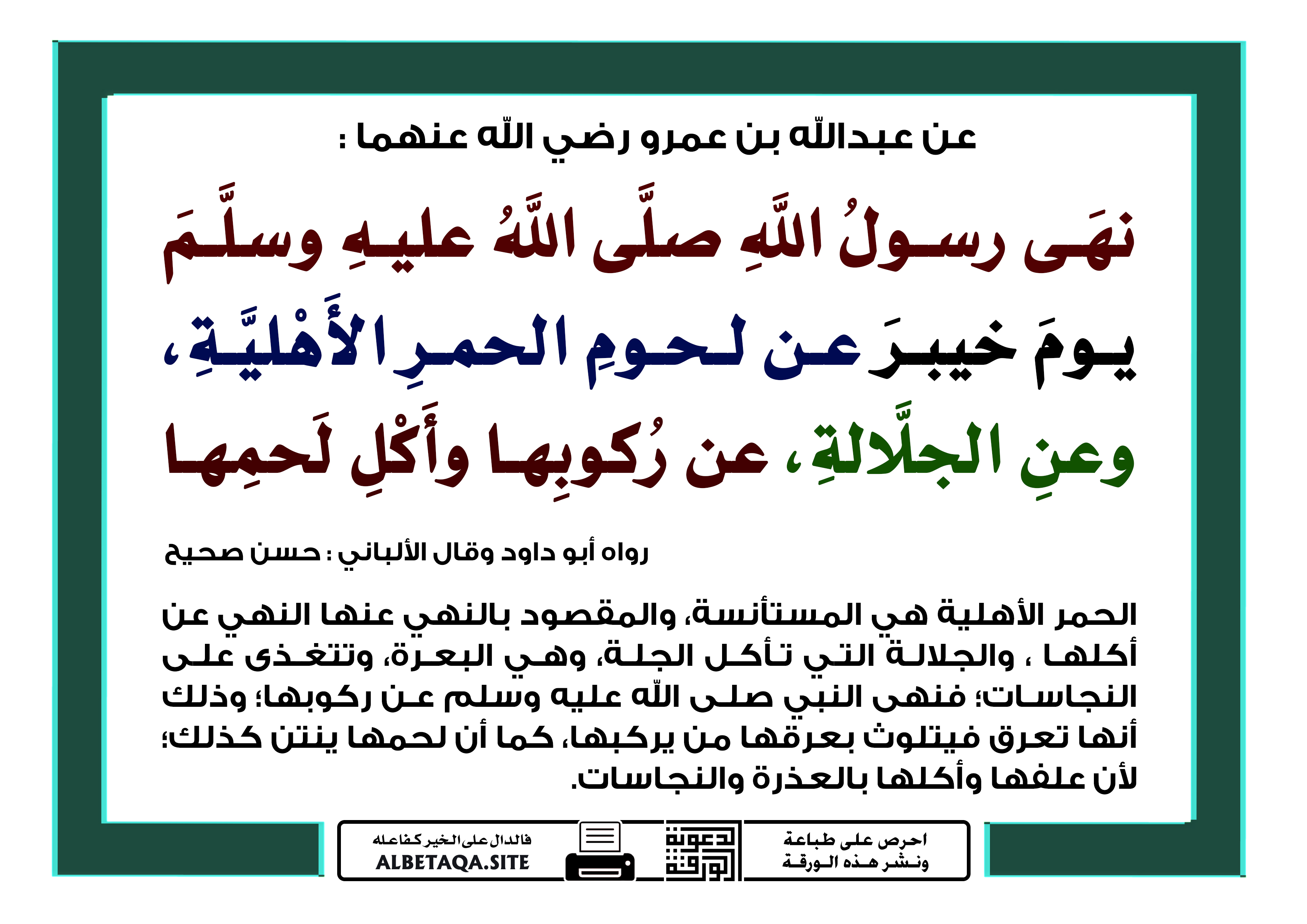 ﻿نهى عن لحوم الحمر الأهلية وعن الجلالة