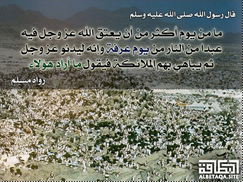 ﻿يوم عرفة