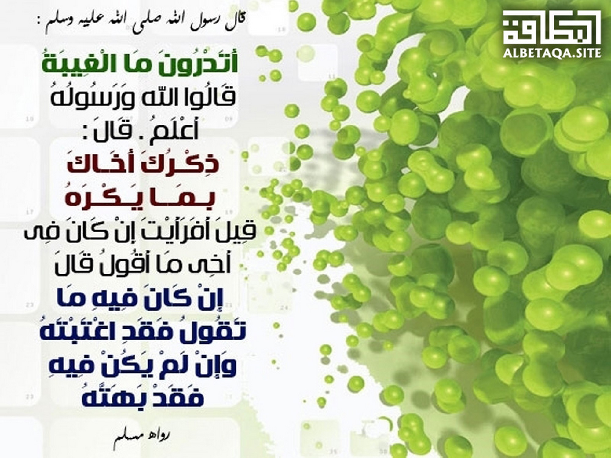 ﻿أتدرون ما الغيبة