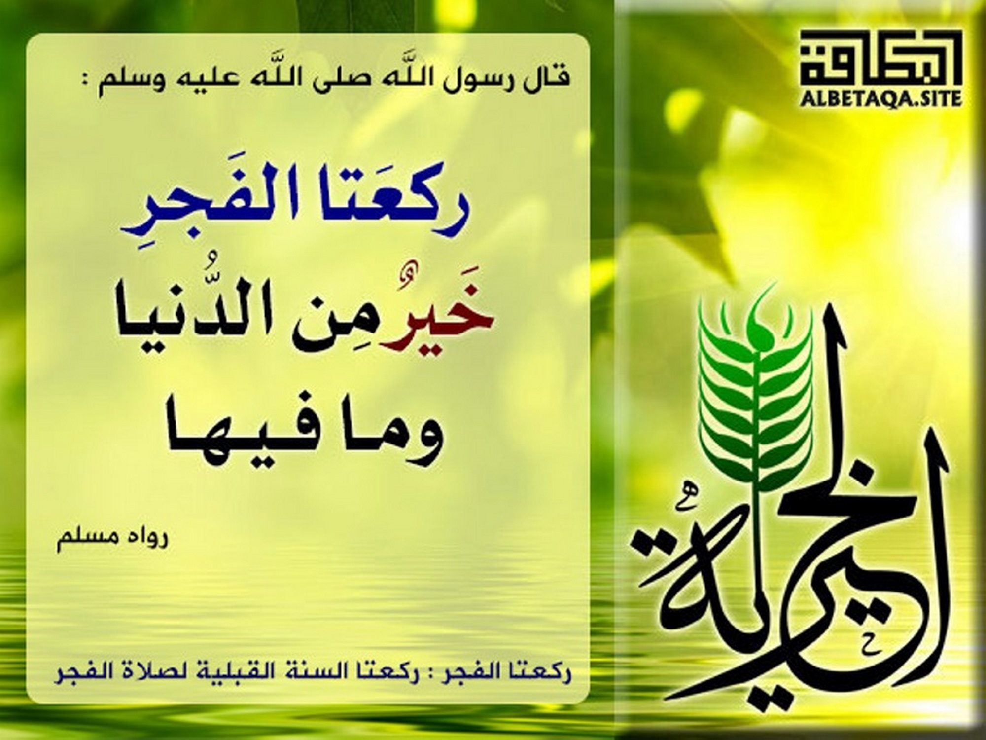 ركعتا الفجر خير من الدنيا