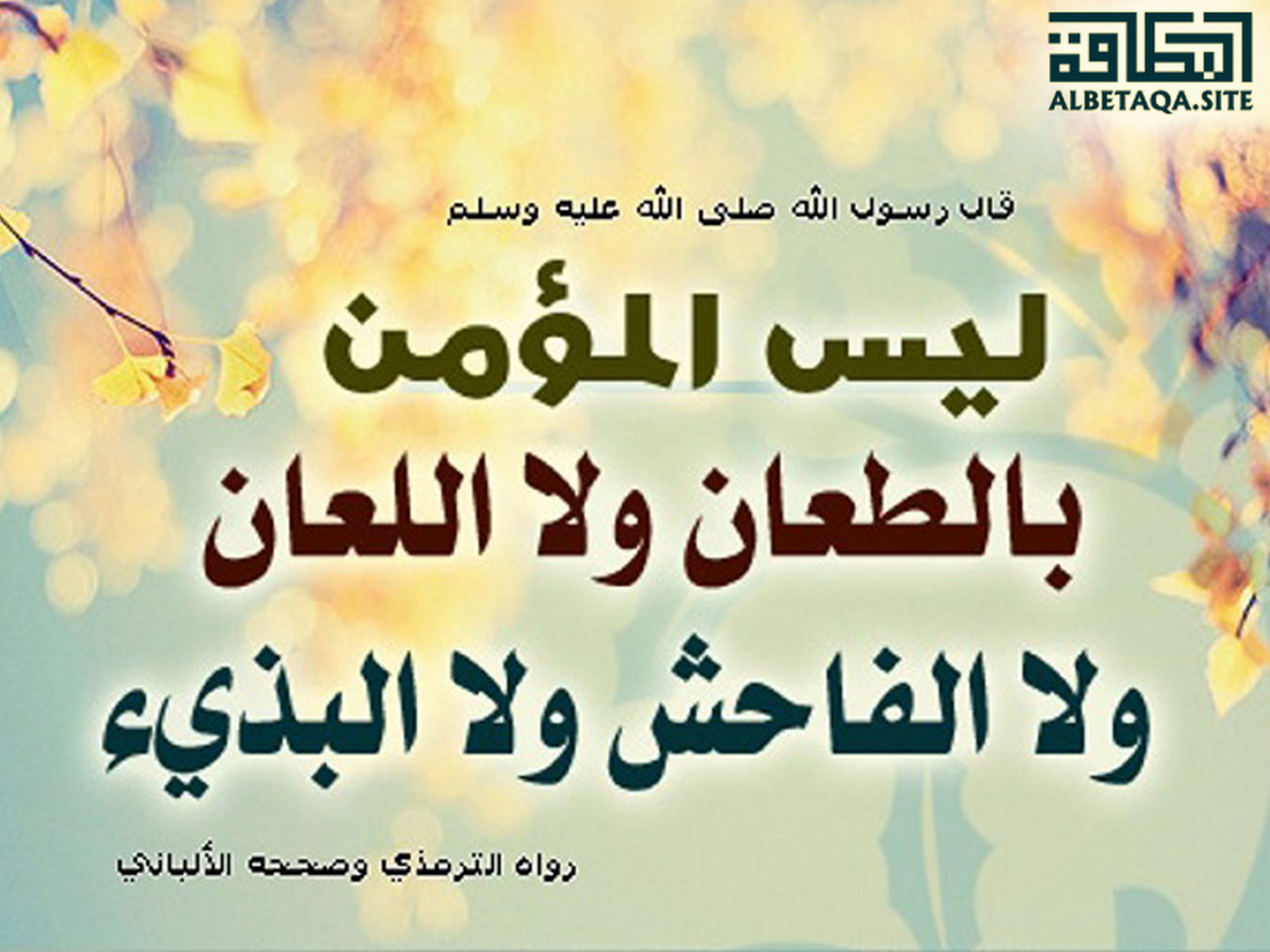 ﻿ليس المؤمن بالطعان ولا اللعان