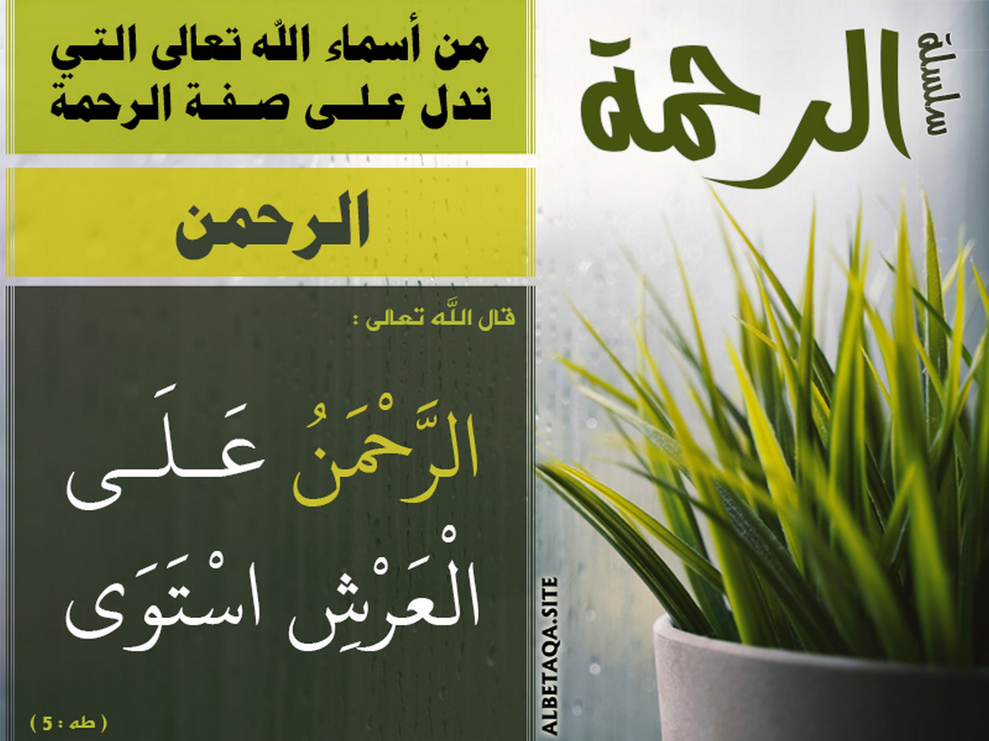 من أسماء الله تعالى التي تدل على صفة الرحمة - الرحمن
