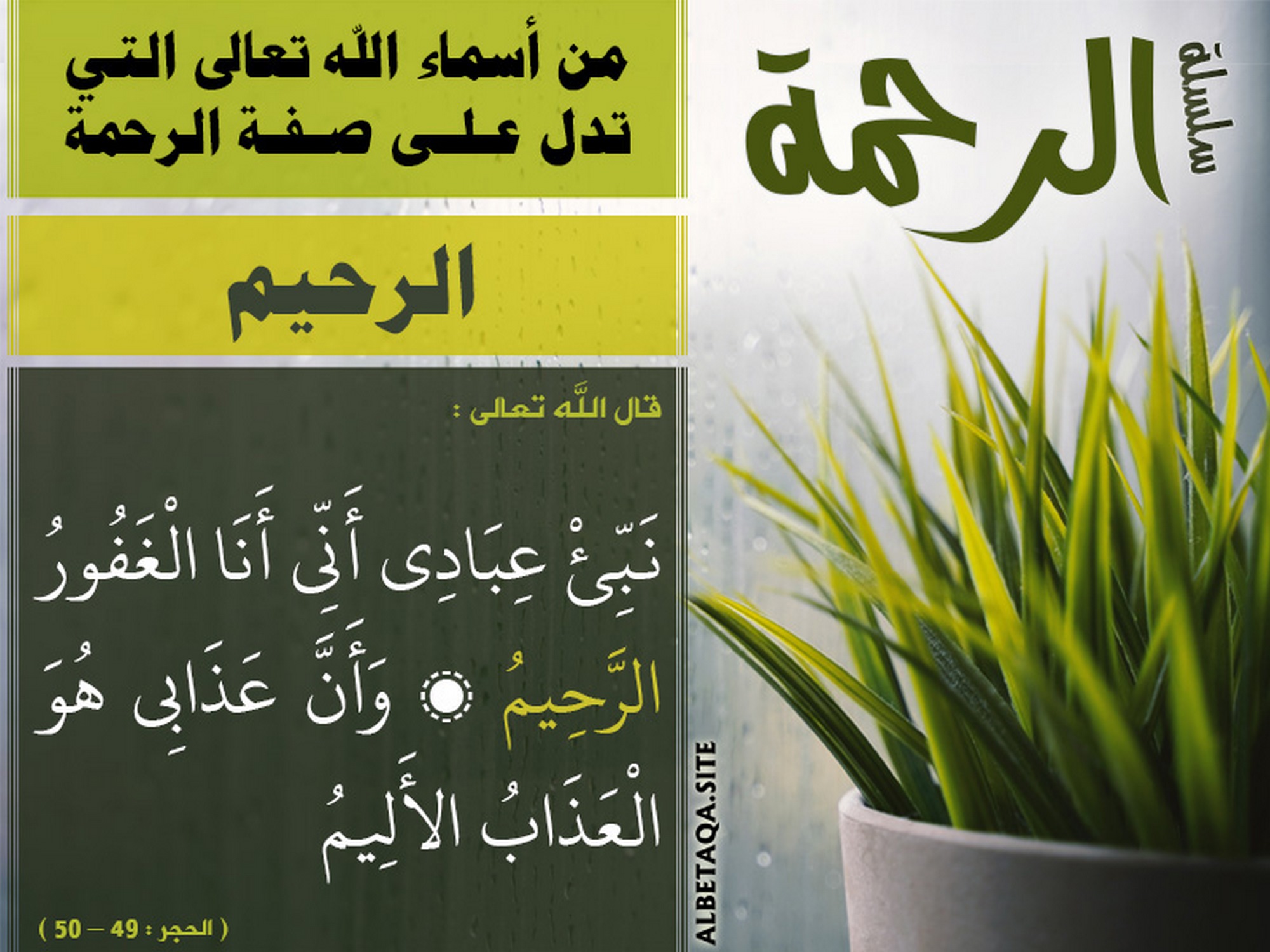 من أسماء الله تعالى التي تدل على صفة الرحمة - الرحيم