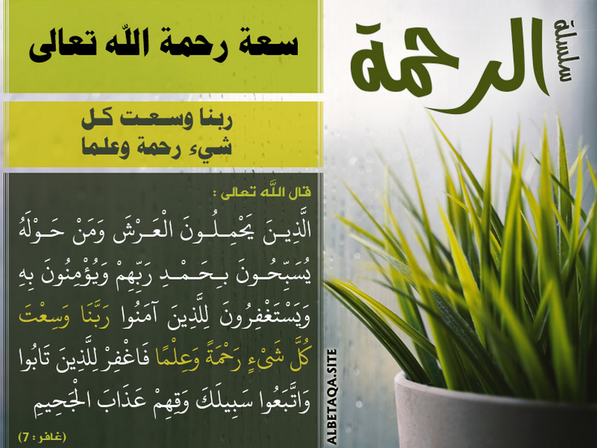 سعة رحمة الله تعالى - ربنا وسعت كل شيء رحمة وعلما