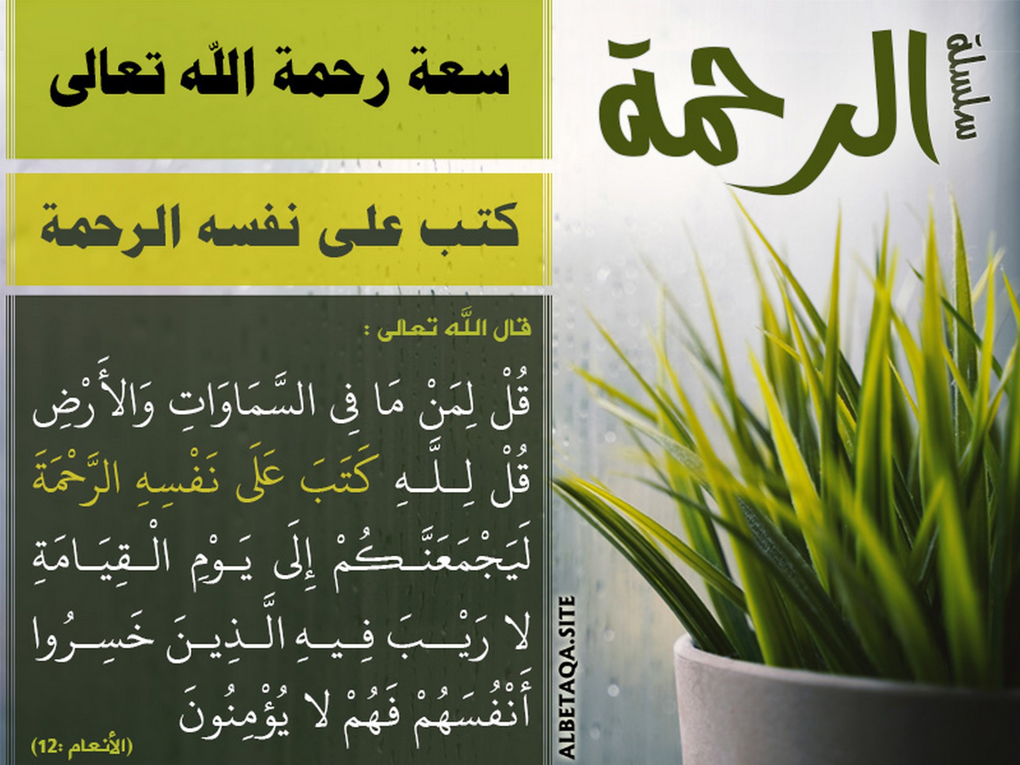 سعة رحمة الله تعالى - كتب على نفسه الرحمة