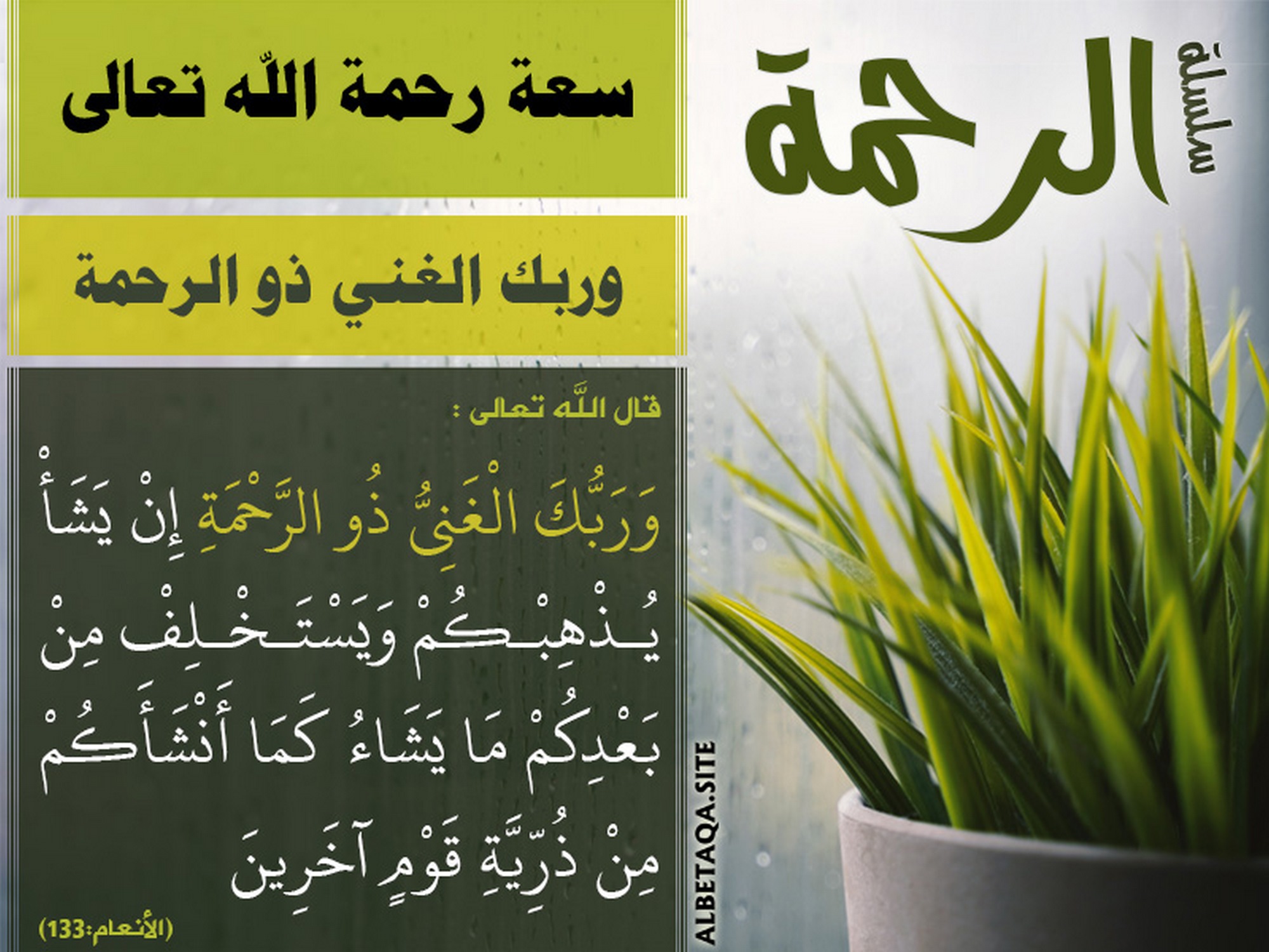 سعة رحمة الله تعالى - وربك الغني ذو الرحمة