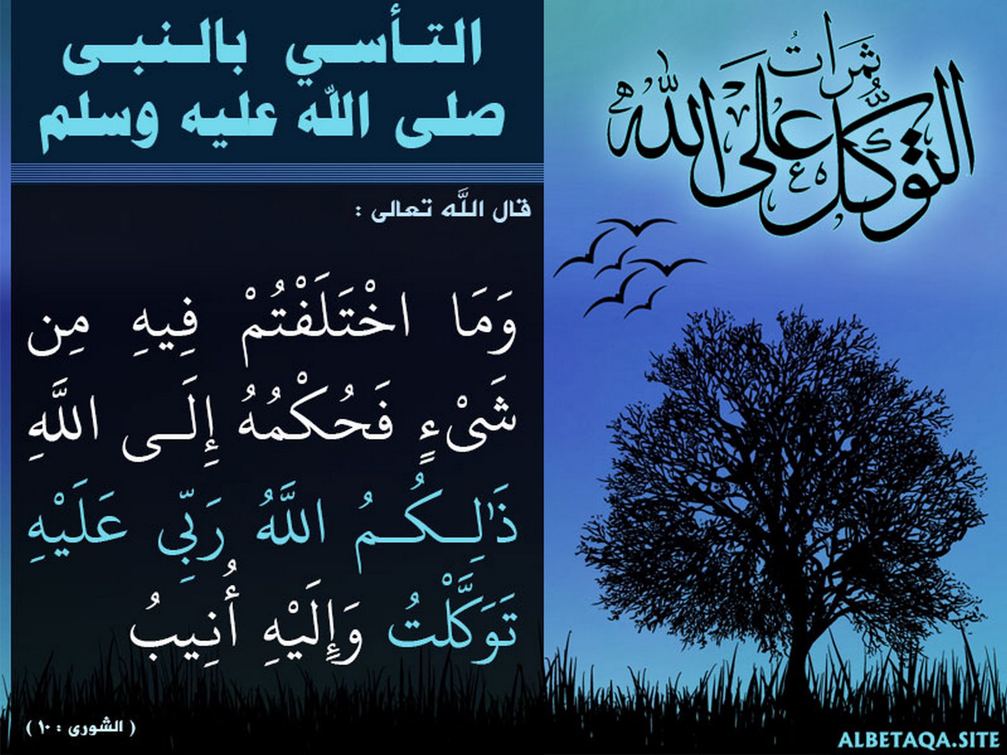 عليه توكلت وإليه أنيب