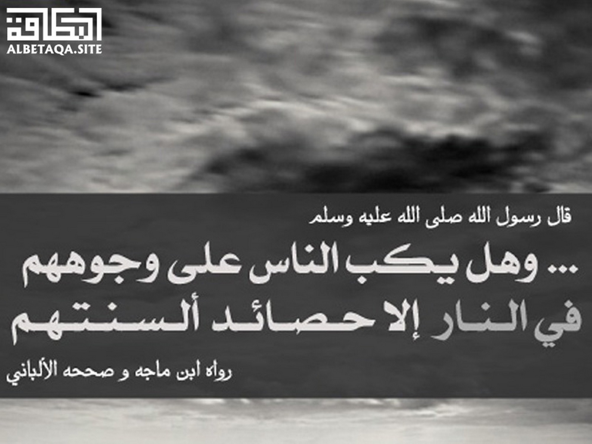 ﻿حصائد ألسنتهم