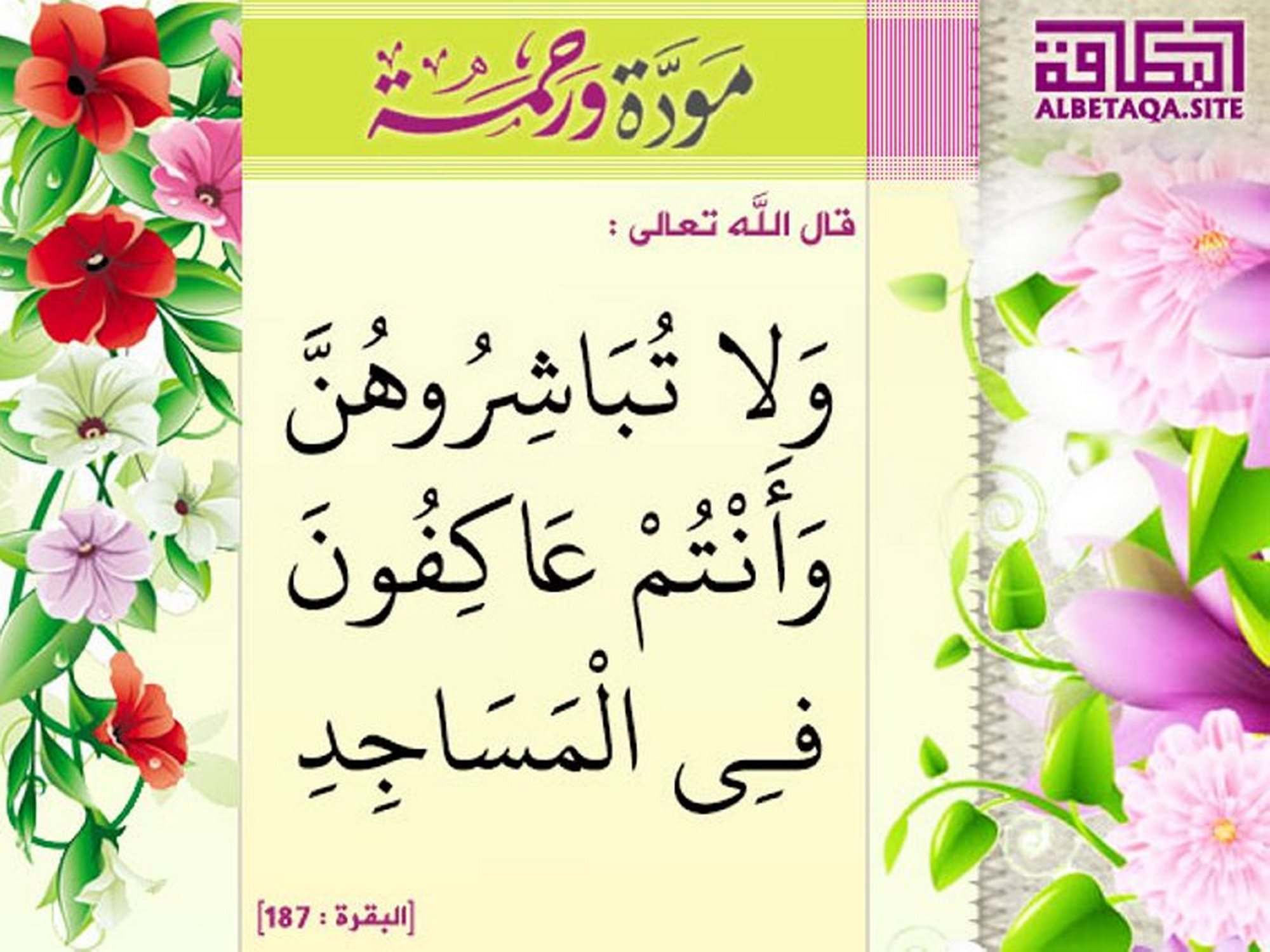 ولا تباشروهن وأنتم عاكفون في المساجد