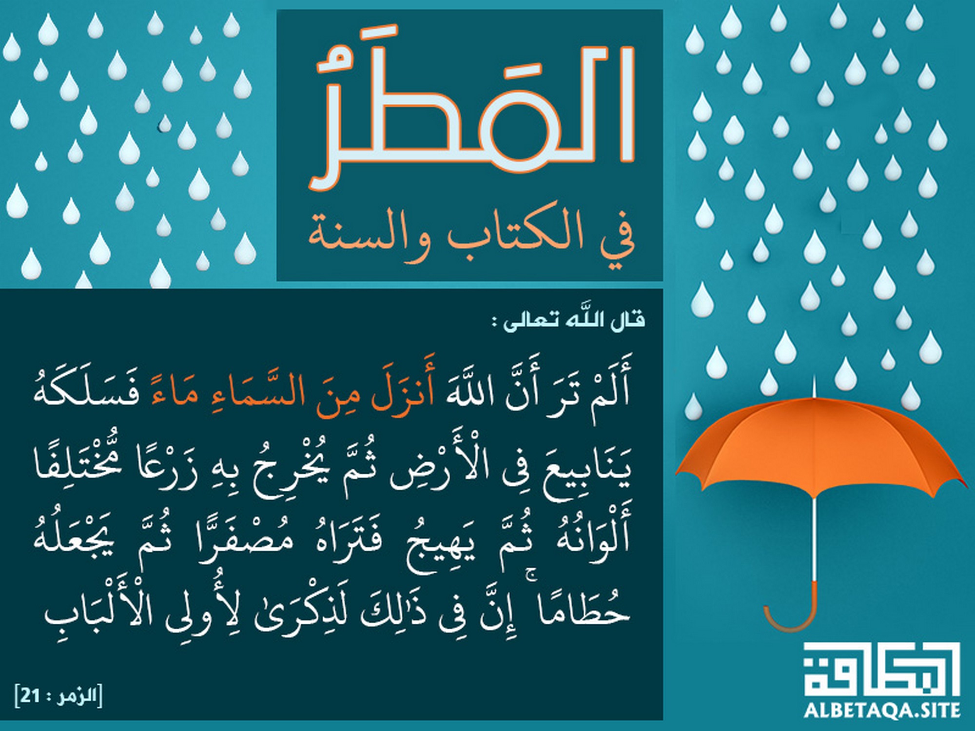 ألم تر أن الله أنزل من السماء ماء فسلكه ينابيع في الأرض