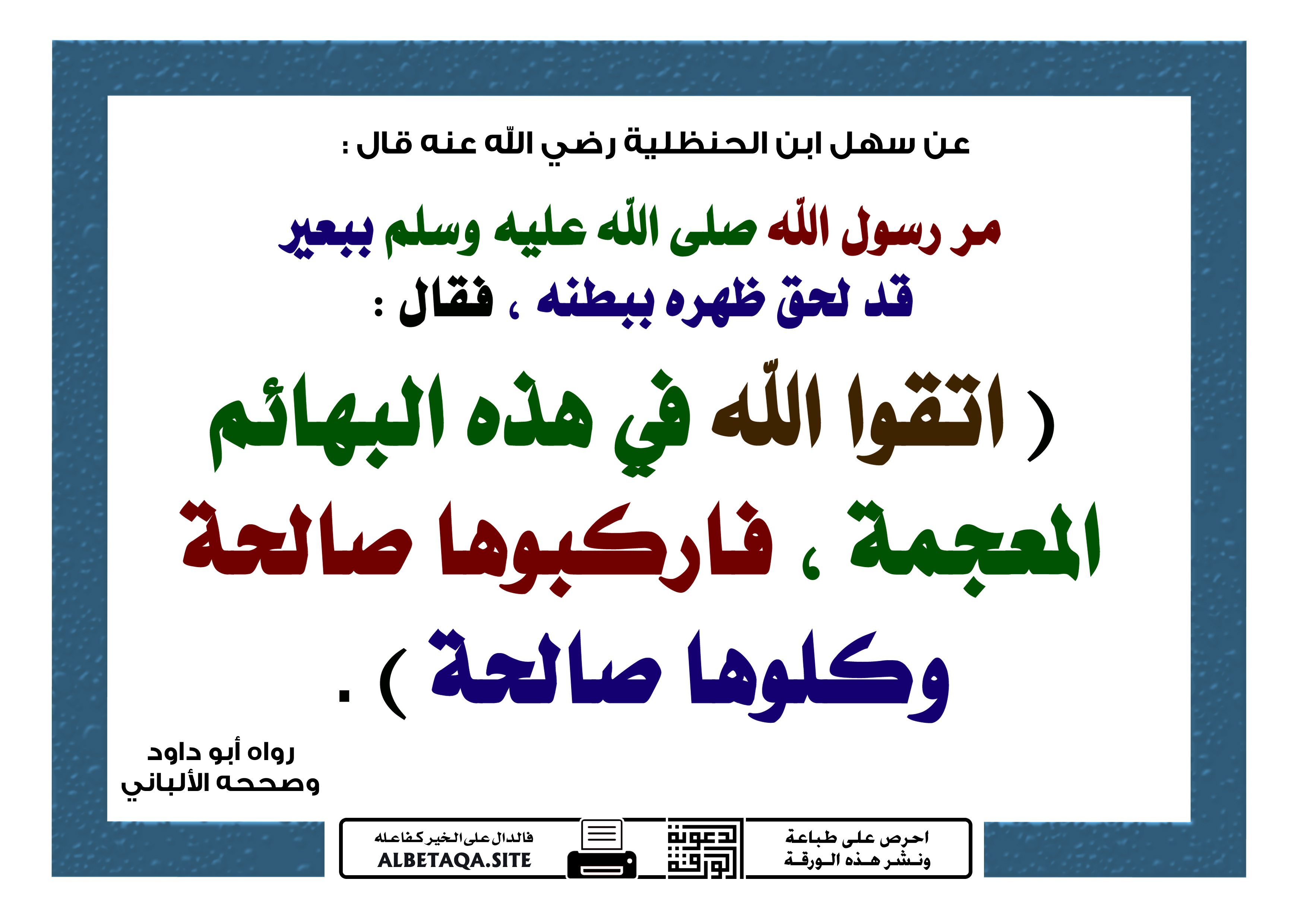 ﻿اتقوا الله في هذه البهائم