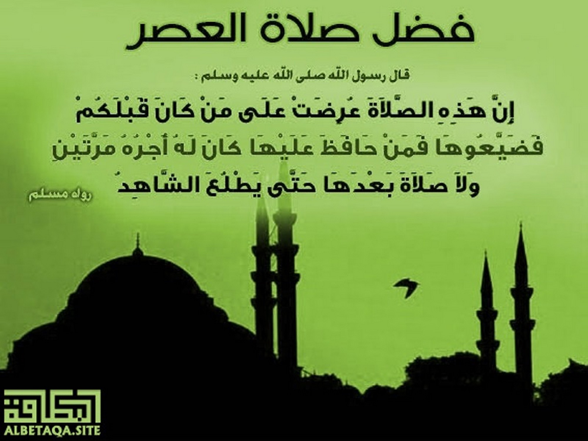 ﻿فضل صلاة العصر