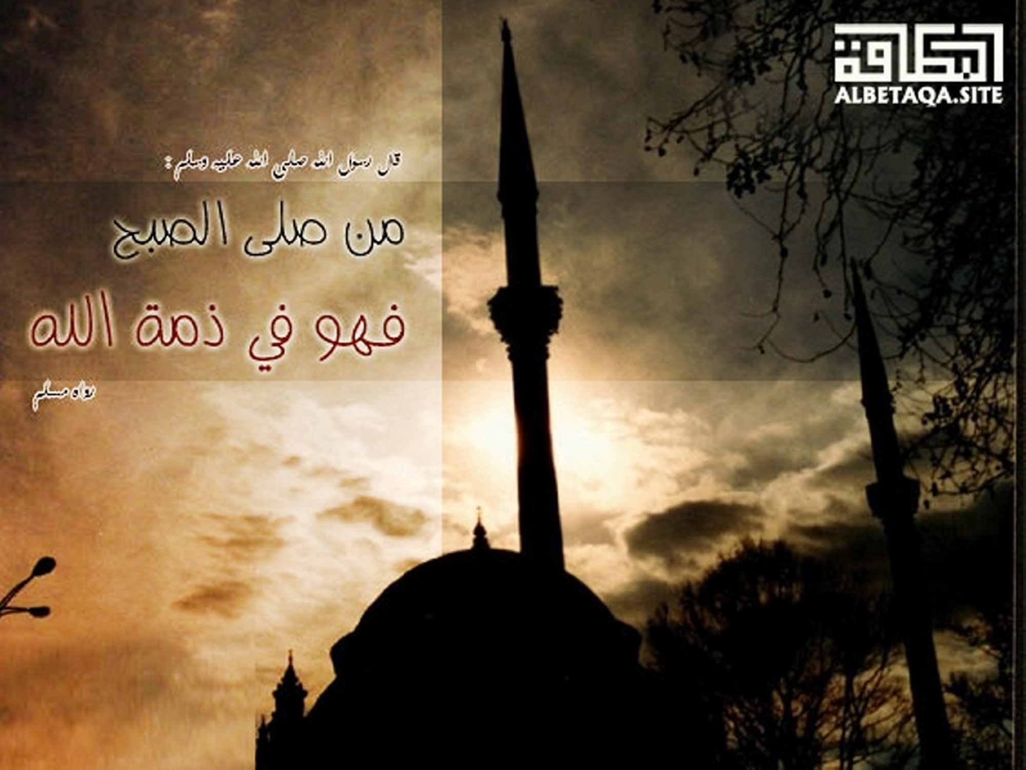 فهو في ذمة الله