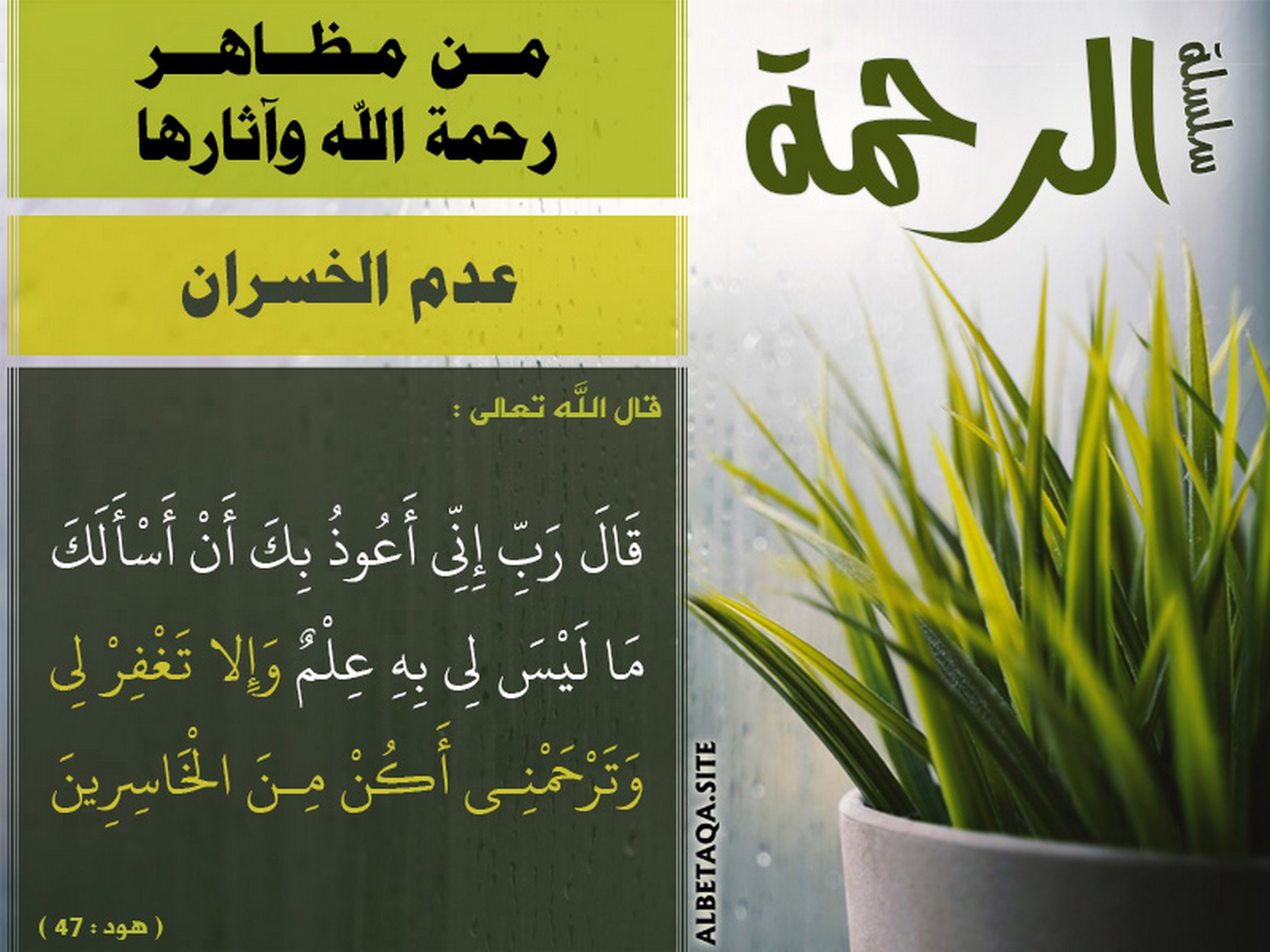 من مظاهر رحمة الله وآثارها - عدمُ الخسران