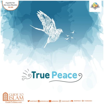 True Peace