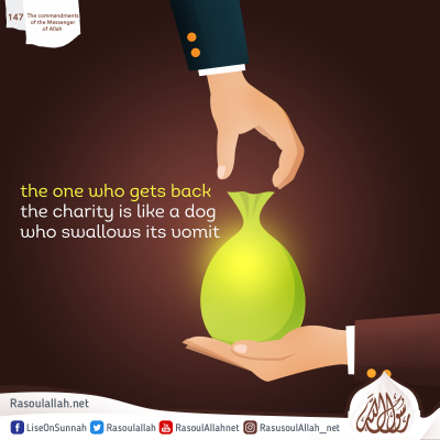 the one who gets back the charity is like a dog who swallows its vomit