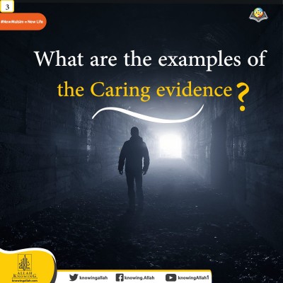 What are the examples of the Caring evidence?