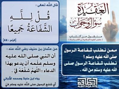 ممن نطلب شفاعة الرسول صلى الله عليه وسلم؟