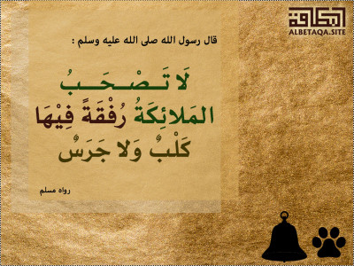 ﻿رفقة فيها كلب ولا جرس