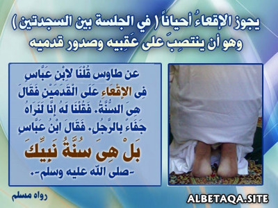 ﻿يجوز الإقعاء أحيانا (في الجلسة بين السجدتين)