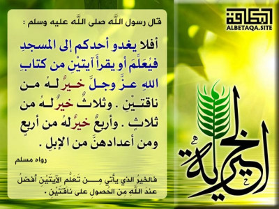 خير له من ناقتين