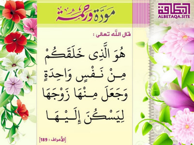 خلقكم من نفس واحدة