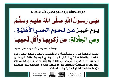 ﻿نهى عن لحوم الحمر الأهلية وعن الجلالة