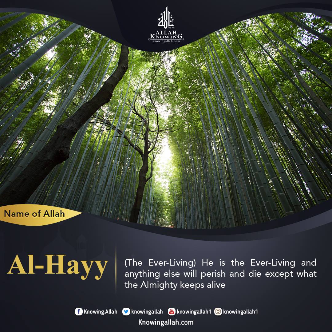 Name of Allah Al-Hayy