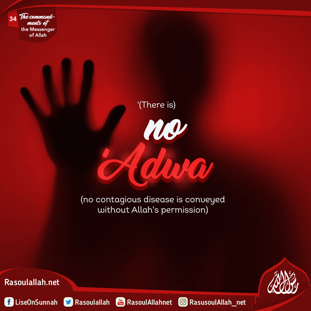 (There is) no 'Adwa (no contagious disease is conveyed without Allah's permission)