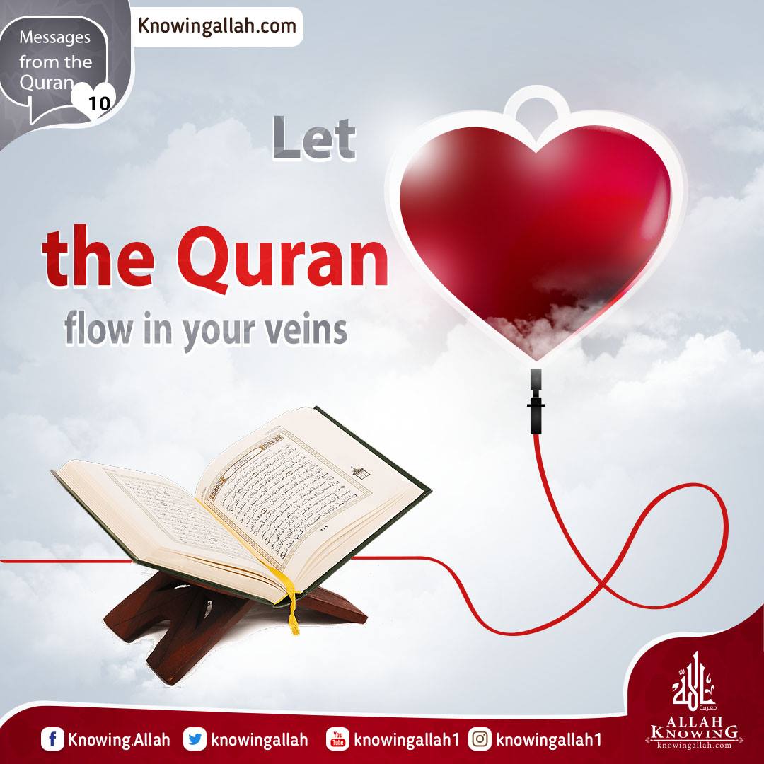 Let the Quran flow in your veins